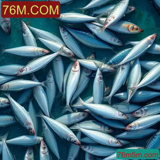 Pesca